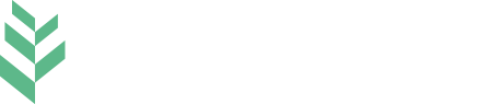 Hazel Tree - Education Recruitment